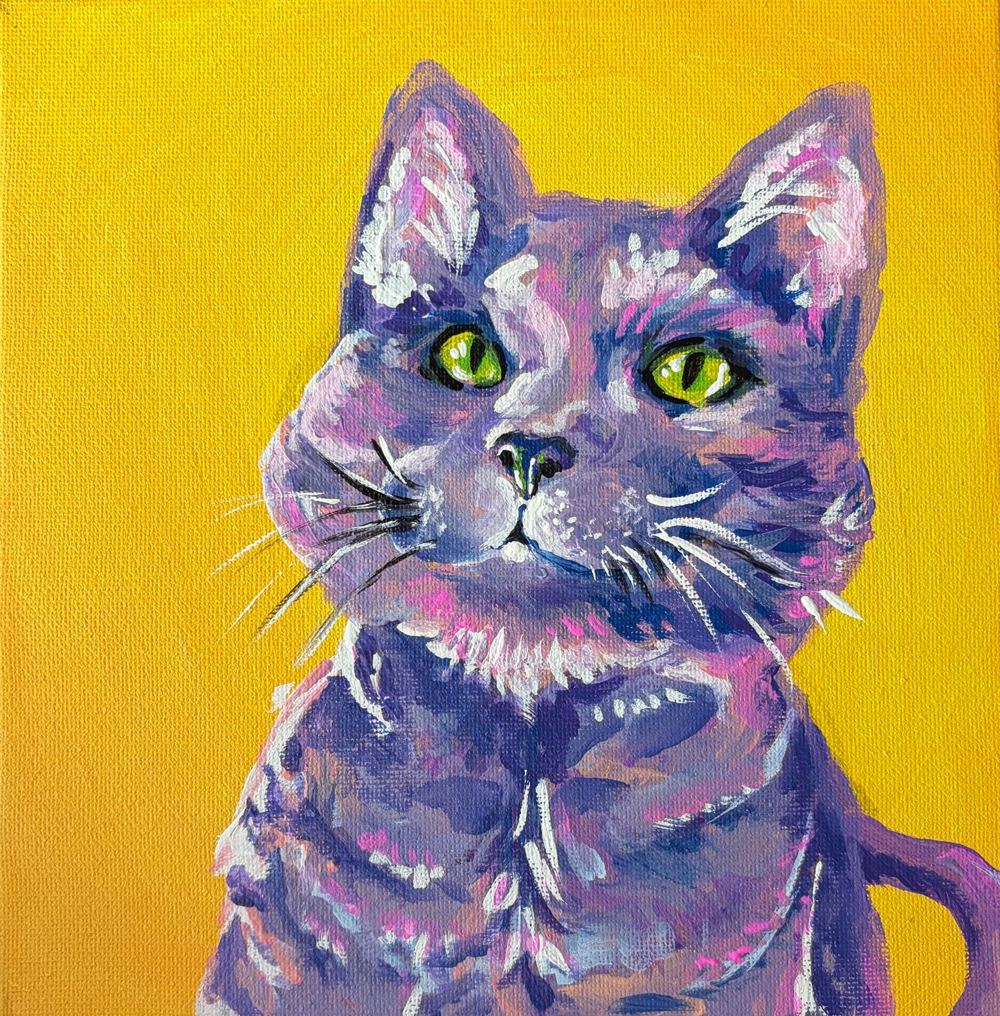 Rainbow Pets Series