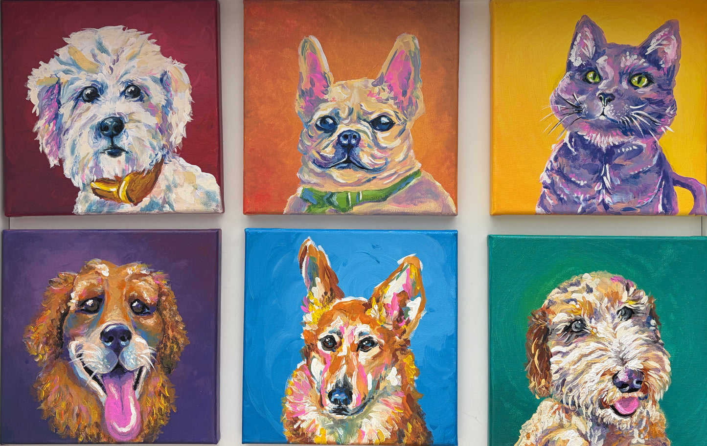 Rainbow Pets Series